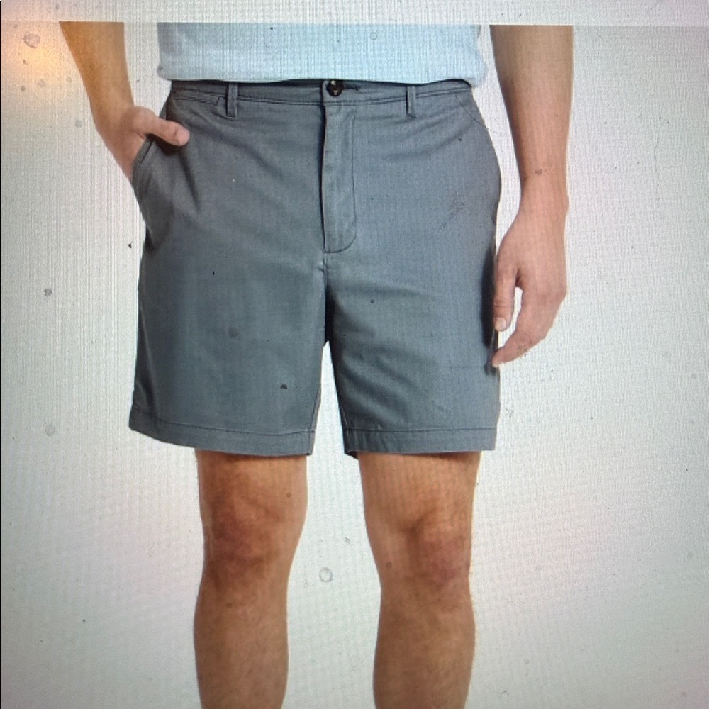 Goodfellow Shorts 34 Blue Gray